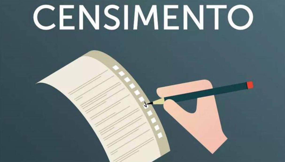 Straordinario Censimento Pagamento