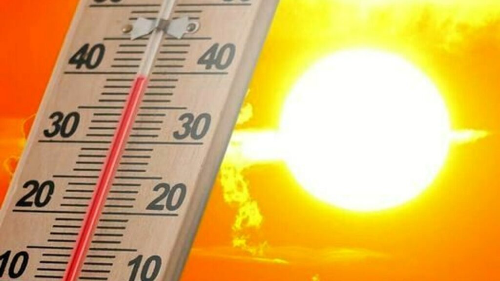Ondate di Calore Impiego operatori